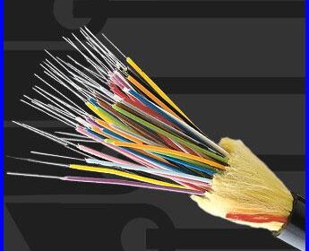 Fiber Optic Network
